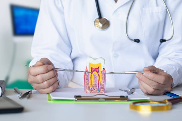 Best Weekend Emergency Dentist in Pensacola Station, FL